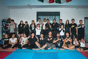 Academia De MMA Cuervos Teziutlan image