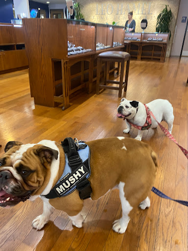 Jewelry Store «Leo Hamel Fine Jewelry & Engagement Ring Store», reviews and photos, 1851 San Diego Ave, San Diego, CA 92110, USA