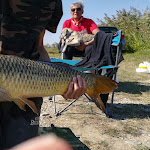 Photo n°14 de l'avis de efrem.e fait le 01/10/2018 à 13:00 sur le  Laghi Sant'Antonio à Montegrotto Terme