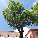 Photo n°5 de l'avis de Giuseppe.' fait le 10/08/2021 à 06:04 sur le  Hotel Corallo Sorrento à Sant'Agnello