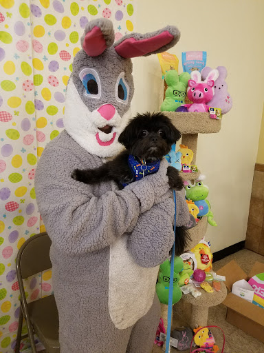 Pet Supply Store «PetSmart», reviews and photos, 200 S Village Center Dr, Southlake, TX 76092, USA