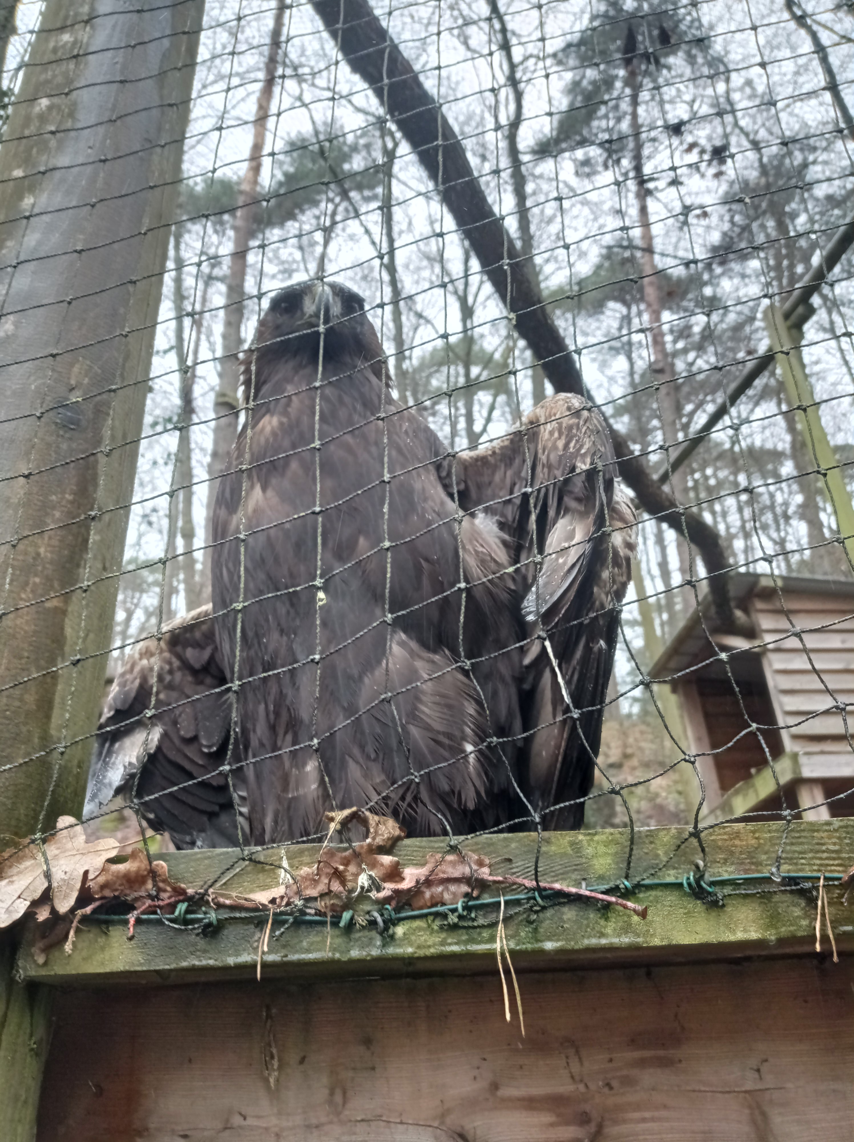 Photo n° 2 de l'avis de Suzanne.o fait le 19/02/2022 à 14:28