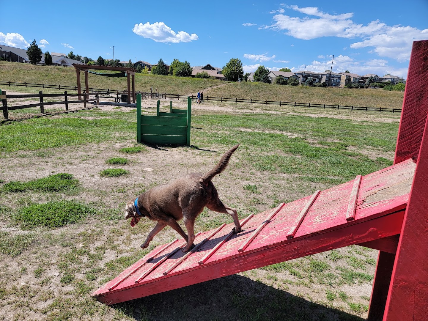 Wiggly Field Dog Park