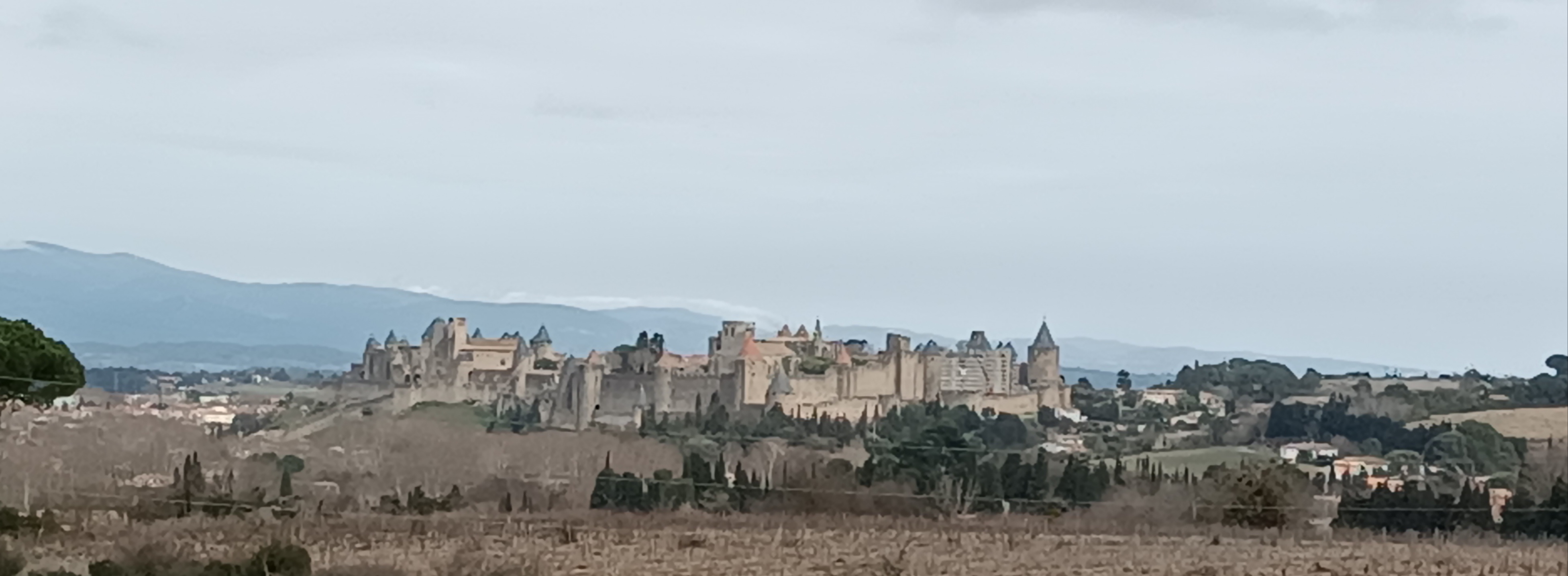 Photo n° 1 de l'avis de Michel.l fait le 12/02/2024 à 22:33