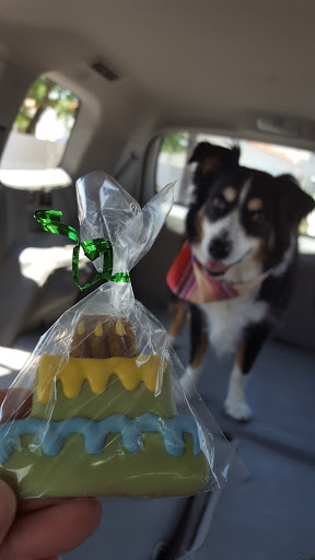 Pet Store «Kosmos Dog House», reviews and photos, 10105 E Vía Linda, Scottsdale, AZ 85258, USA