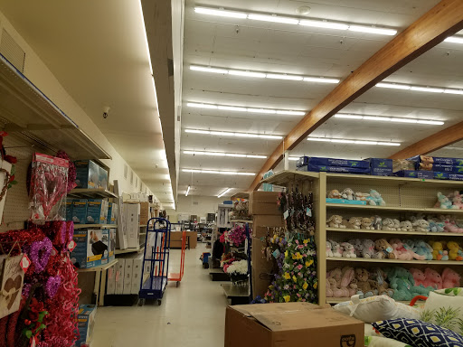 Discount Store «Big Lots», reviews and photos, 300 Enterprise St, Sterling, VA 20164, USA