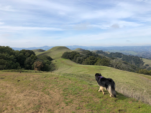Las Trampas Wilderness Regional Preserve
