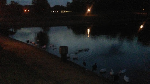 Park «Salem Park», reviews and photos, 1724 GA-155 N, McDonough, GA 30252, USA