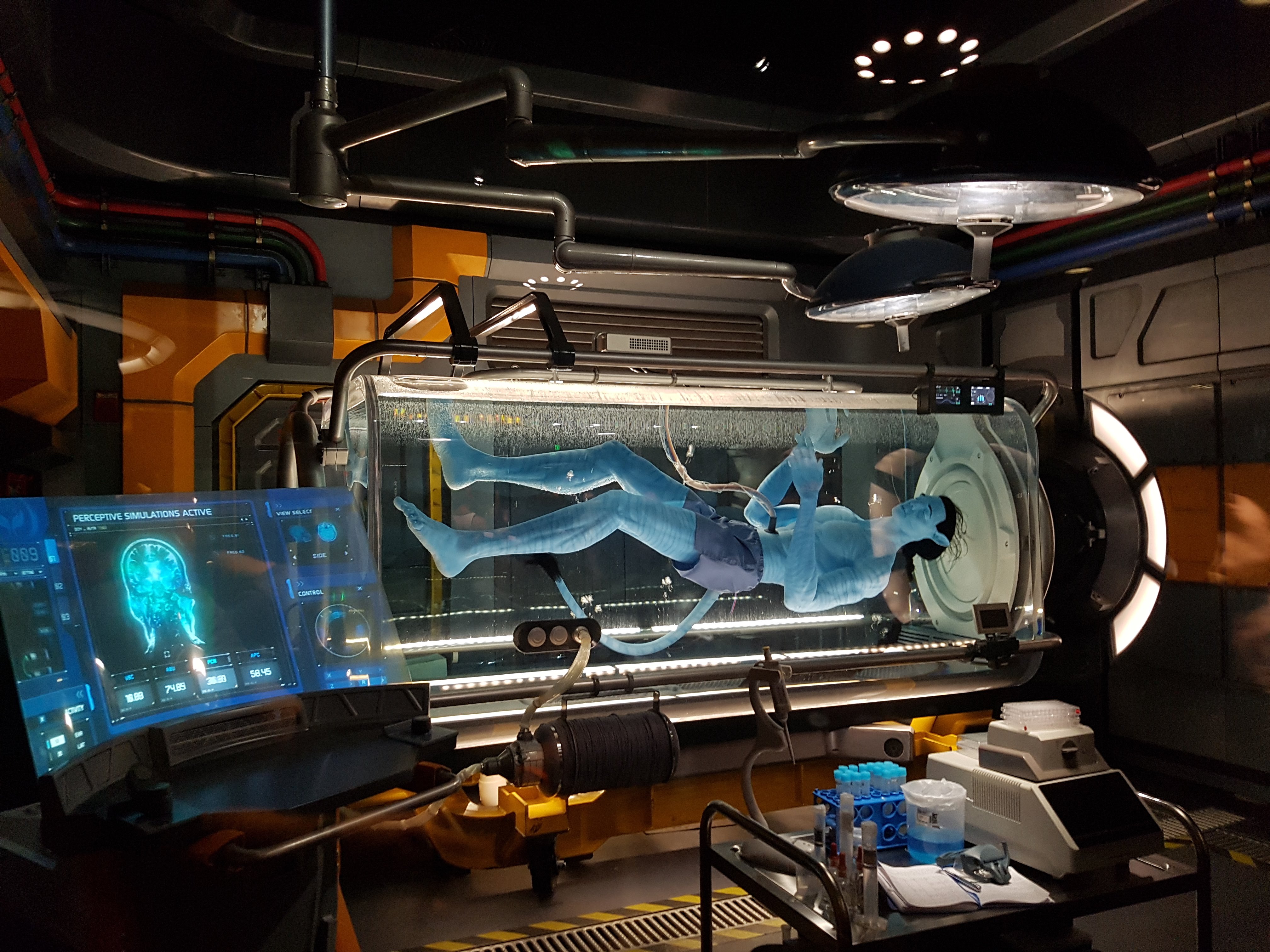 Picture of a place: Avatar Flight of Passage