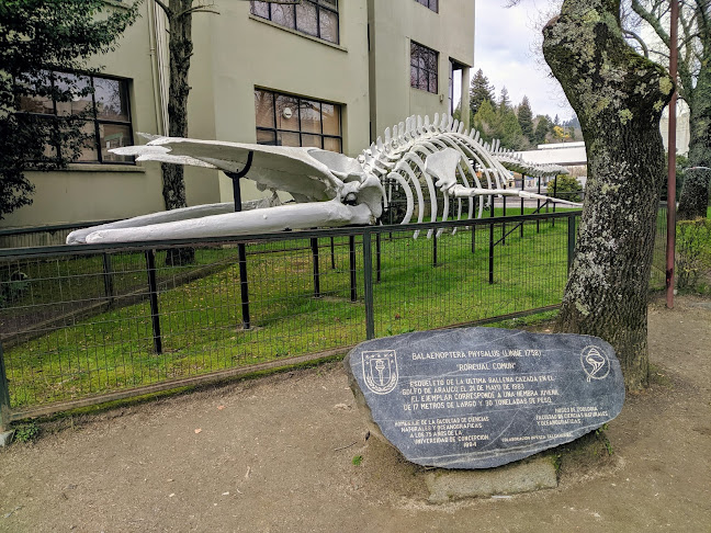 Facultad de Ciencias Naturales y Oceanográficas UdeC - Universidad