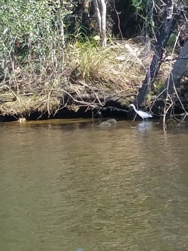 Boat Tour Agency «River Lilly Cruises», reviews and photos, 500 E Prima Vista Blvd, Port St Lucie, FL 34983, USA