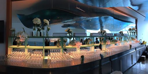 Flower Designer «The Flower Bazaar», reviews and photos, 920 5th St, Miami Beach, FL 33139, USA