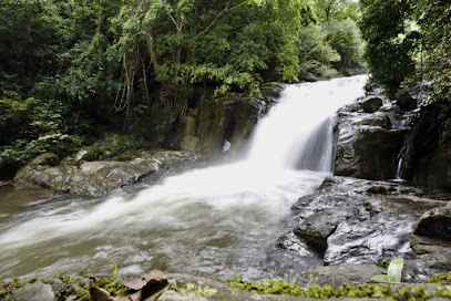 น้ำตกป่าละอู Pa La-u waterfall