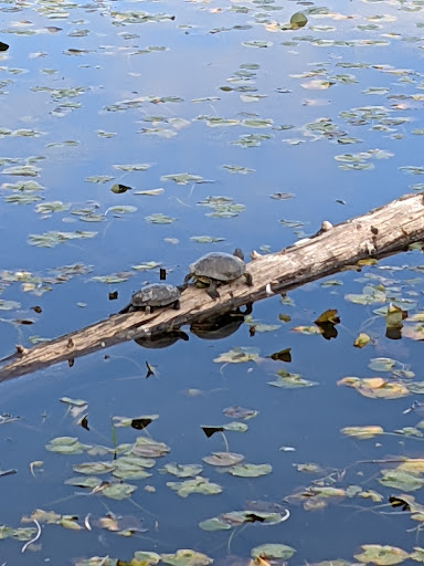 Park «Seward Park», reviews and photos, 5900 Lake Washington Blvd S, Seattle, WA 98118, USA