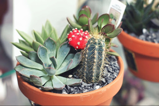 Florist «Garden of Eden Flower Shop, Pennsville», reviews and photos, 199 N Broadway, Pennsville, NJ 08070, USA