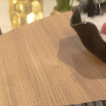 Photo n°4 de l'avis de GIOACCHINO.I fait le 10/09/2023 à 20:56 sur le  Neko Rieti à Rieti