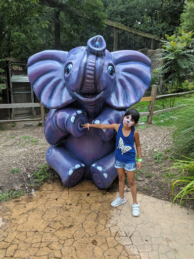 Recreation Center «Go Ape Zip Line & Treetop Adventure - Lums Pond State Park», reviews and photos, 1042 Howell School Rd, Bear, DE 19701, USA