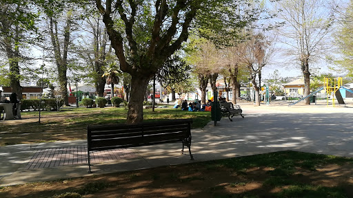 Plaza Las Américas (Victoria)