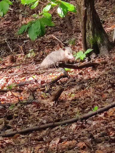 Park «Cleveland Metroparks», reviews and photos, 1969 W Ridgewood Dr, Cleveland, OH 44134, USA