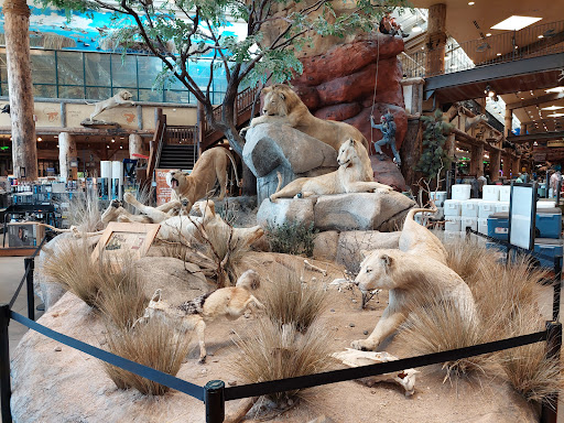 Sporting Goods Store «Bass Pro Shops», reviews and photos, 8200 Dean Martin Dr, Las Vegas, NV 89139, USA