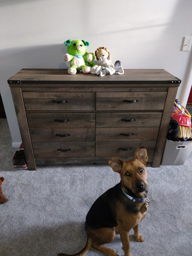 Furniture Store «Price Point Furniture - Madison», reviews and photos, 2235 Gallatin Pike N, Madison, TN 37115, USA