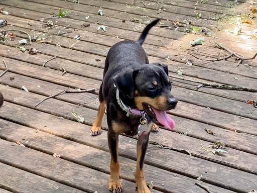 1125 Main St, Milford, OH 45150, USA