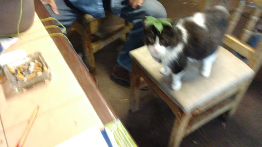 Shopping Mall «Southern Shopping Center», reviews and photos, 7525 Tidewater Dr, Norfolk, VA 23505, USA