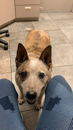 2206 McClelland St E, Salt Lake City, UT 84106, USA