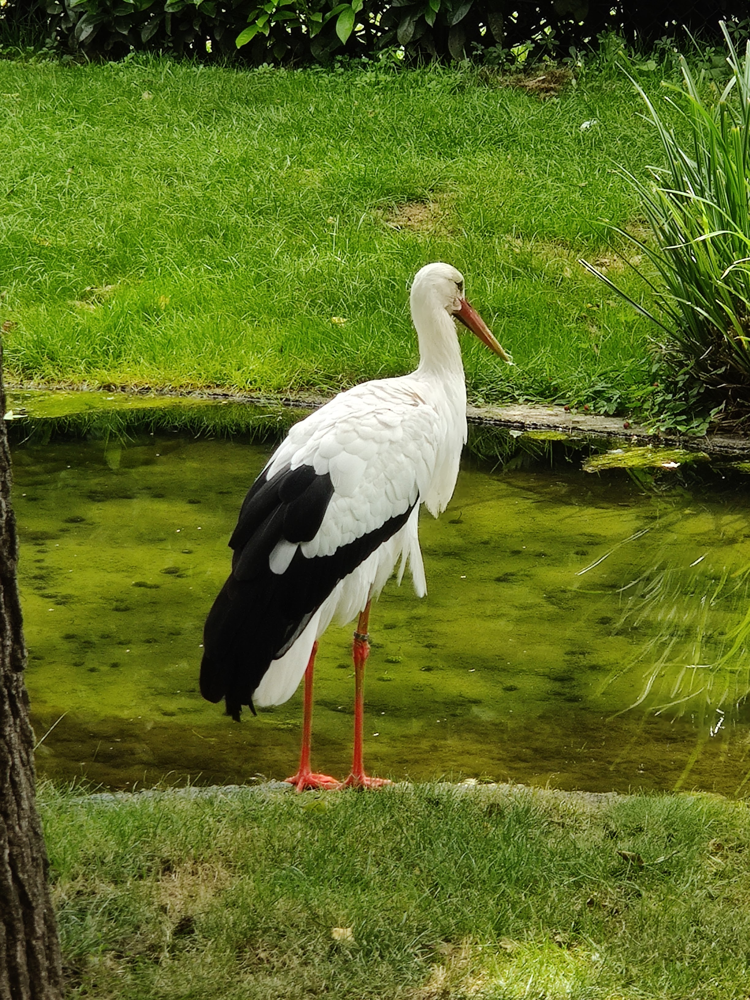 Photo n° 11 de l'avis de Emilie.a fait le 06/08/2023 à 13:12