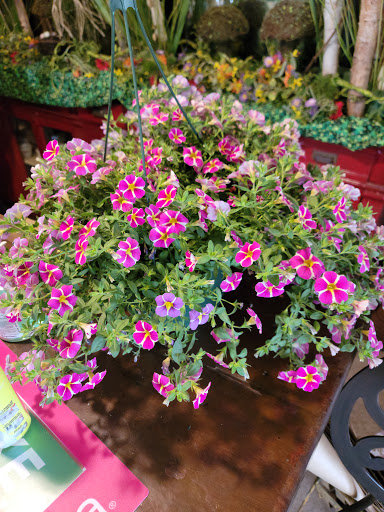 Goshen Florist, 2841 NY-17M, New Hampton, NY 10958, USA, 