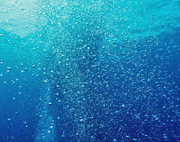 J.R. Pool and Spa - Photo 8 - Car repair in Fallbrook, CA, Murrieta