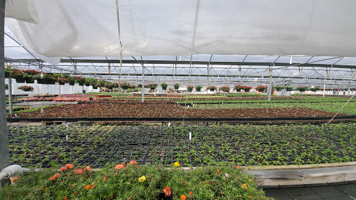 Landscaper «Landscape Source», reviews and photos, 167 Ole W Ln, Rockwall, TX 75087, USA