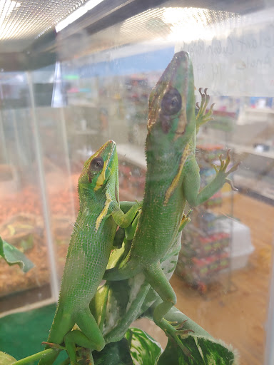 Tropical Fish Store «Tropi-Quatics Pet Center», reviews and photos, 337 S Main St, Lombard, IL 60148, USA