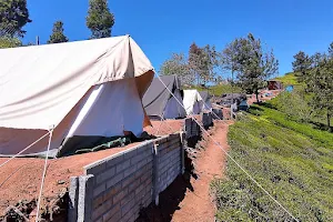 Janardan Campsite Ooty image