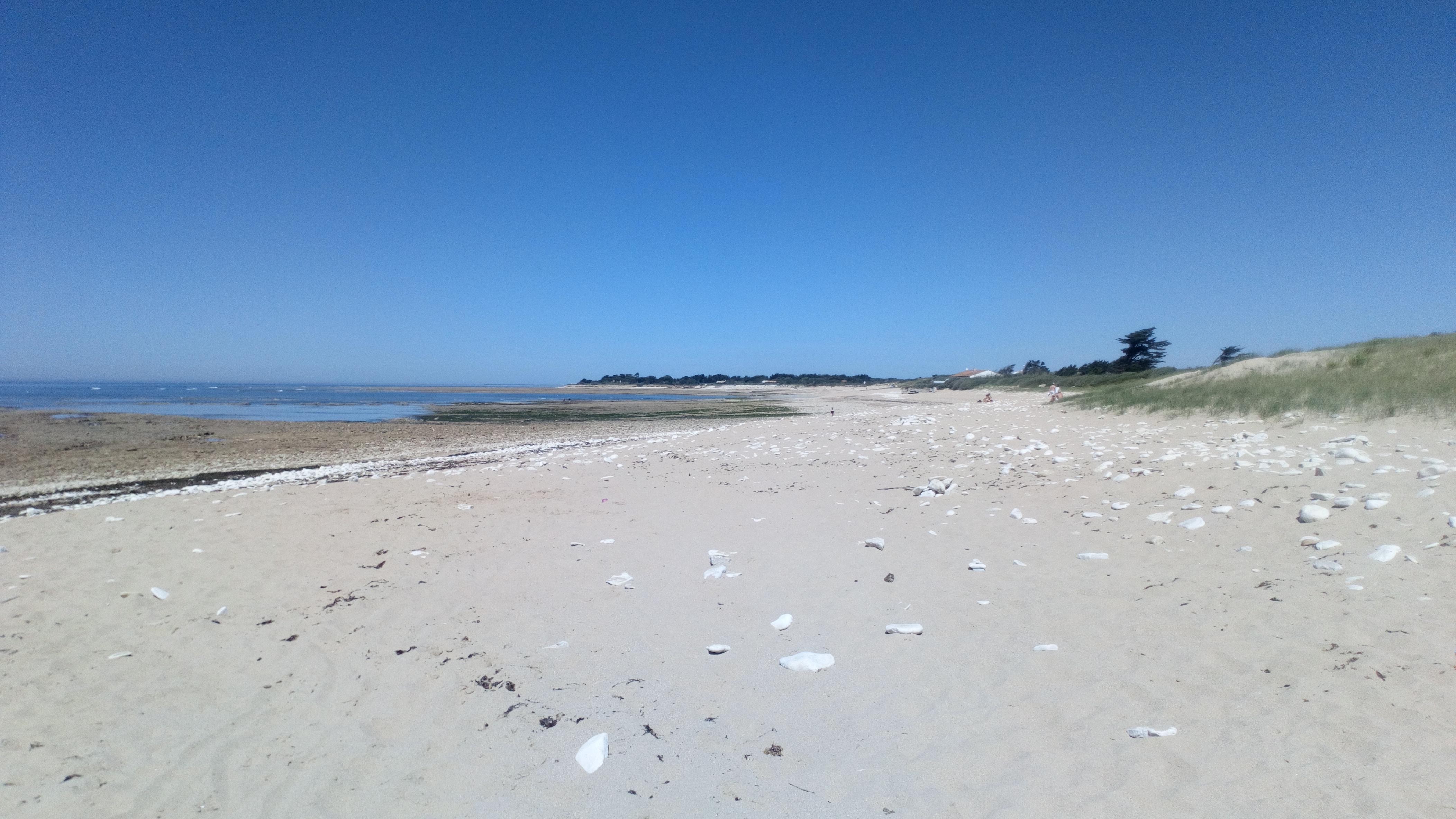 Photo n° 1 de l'avis de Jean-Marc.c fait le 10/06/2019 à 15:34
