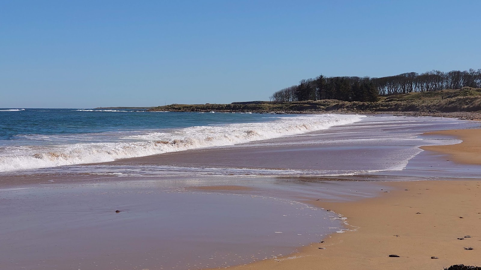 Foto de Praia de Kingsbarn - lugar popular entre os apreciadores de relaxamento