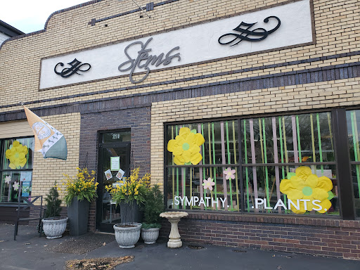 Stems Florist, 210 St Francois St, Florissant, MO 63031, USA, 