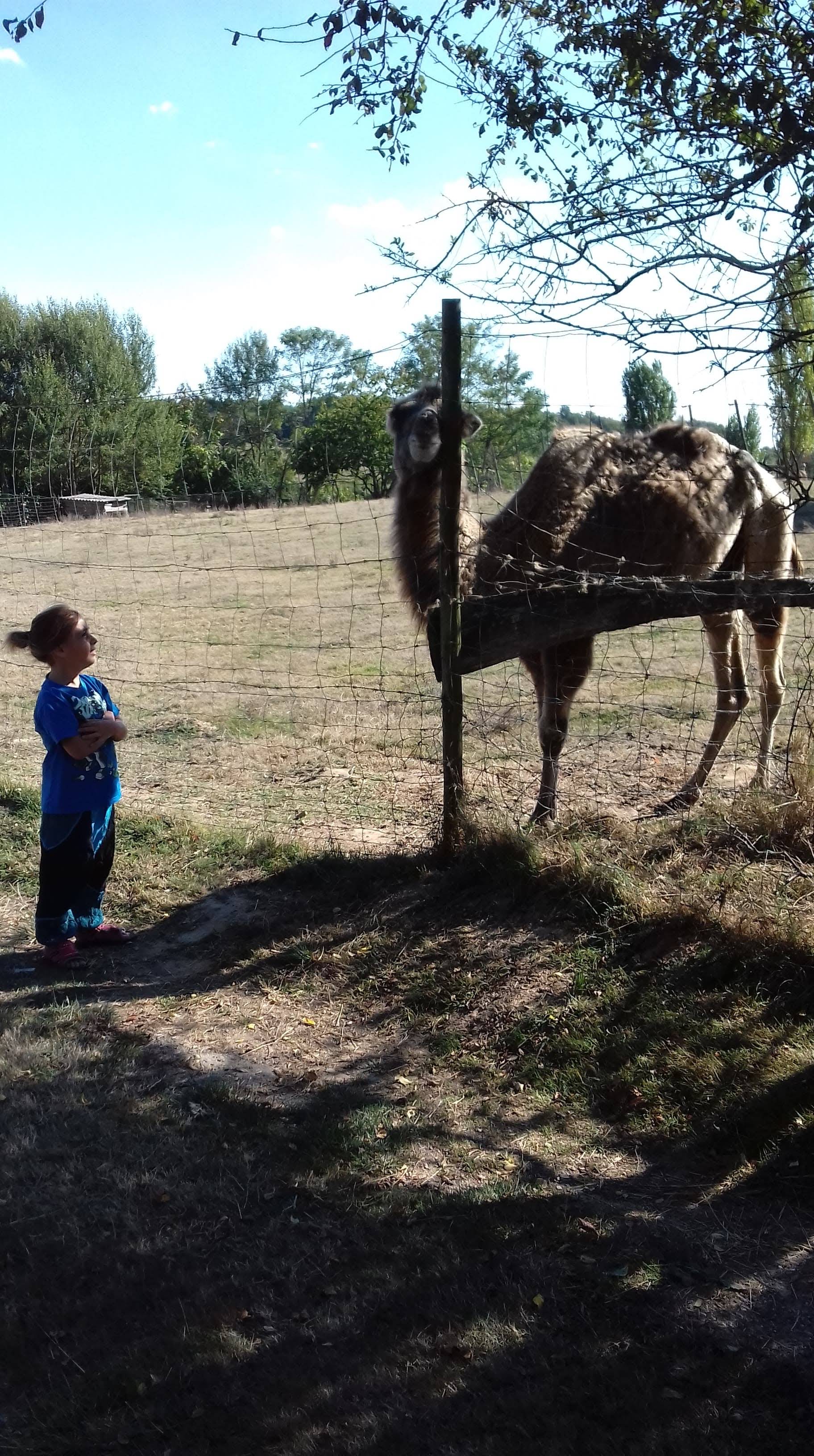 Photo n° 7 de l'avis de lusignan.n fait le 26/10/2018 à 04:59