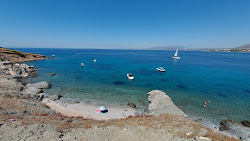 Paralia Arsidas II'in fotoğrafı vahşi alan