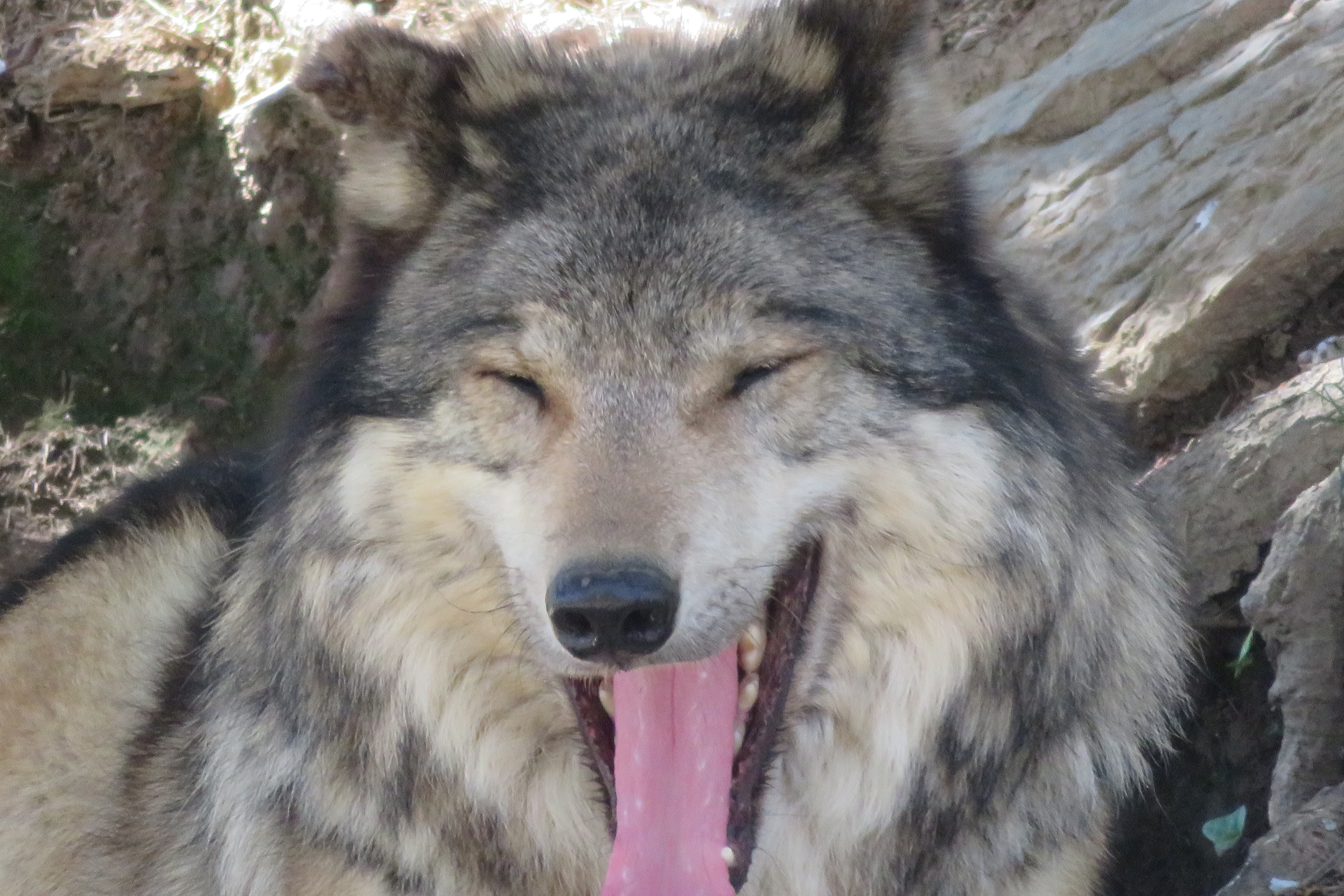 Photo n° 7 de l'avis de Pascal.E fait le 09/04/2023 à 04:13