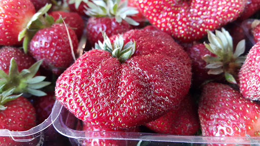 Grocery Store «Metropolitan Market Sand Point», reviews and photos, 5250 40th Ave NE, Seattle, WA 98105, USA