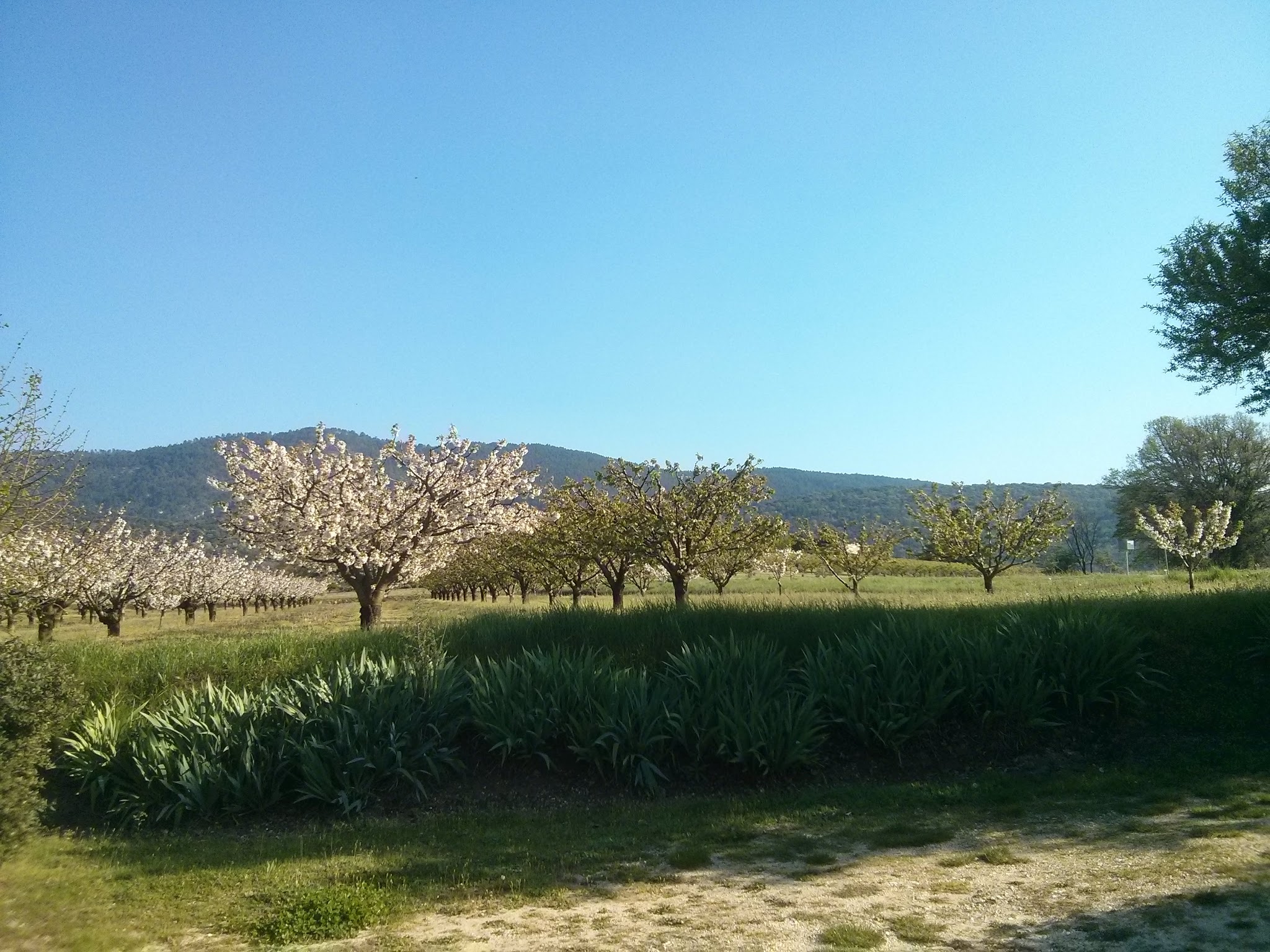 Photo n° 3 de l'avis de Thomas.c fait le 11/04/2018 à 06:57