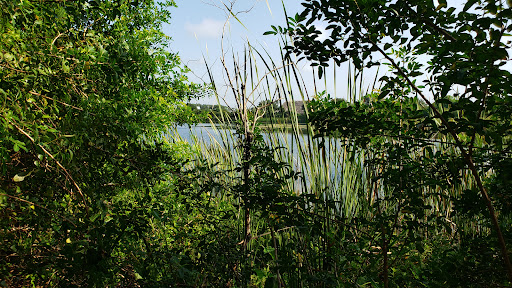 Movie Theater «AMC Veterans 24», reviews and photos, 9302 Anderson Rd, Tampa, FL 33634, USA