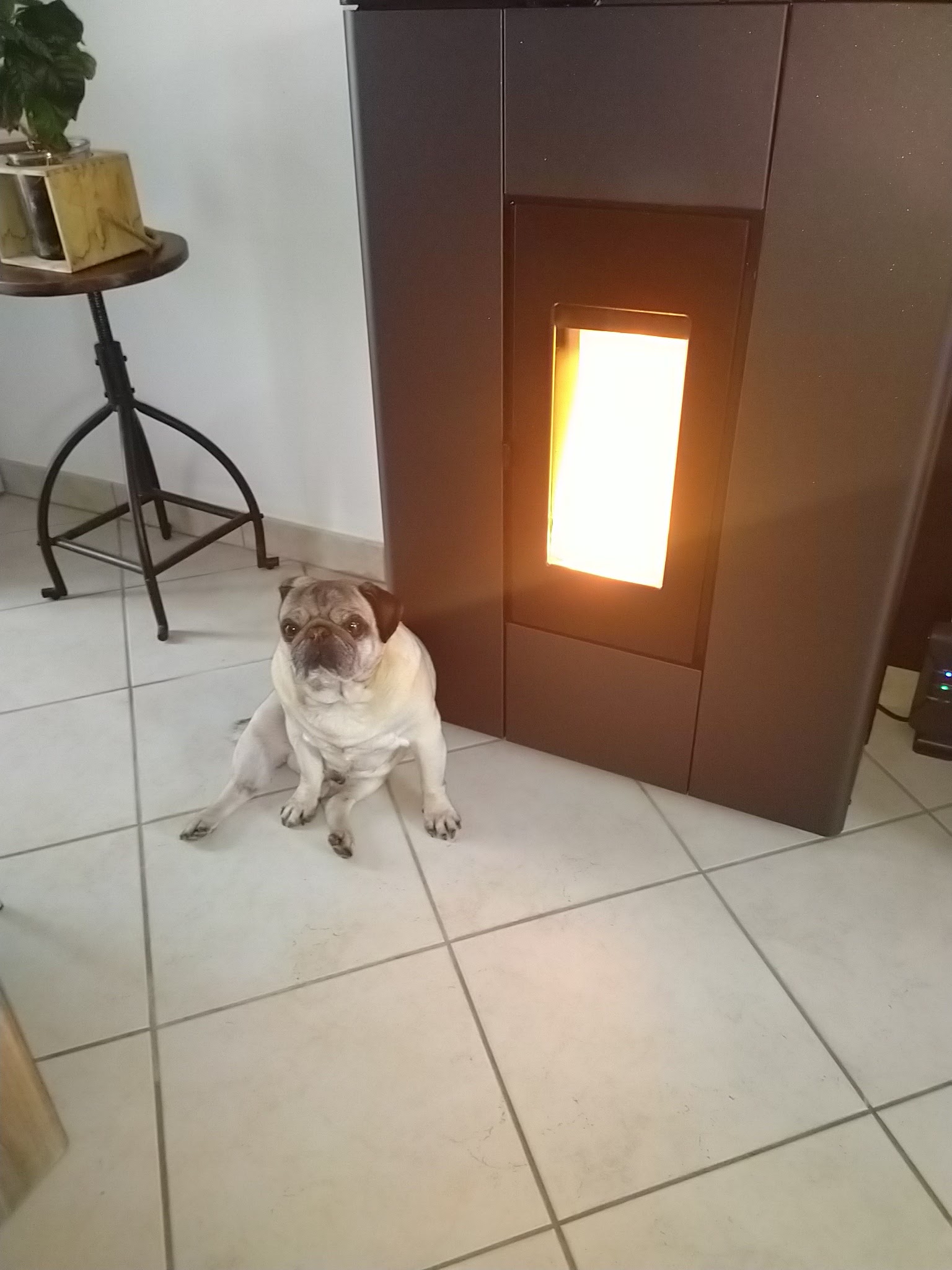 Photo n° 1 de l'avis de Angélique.r fait le 25/02/2023 à 18:28