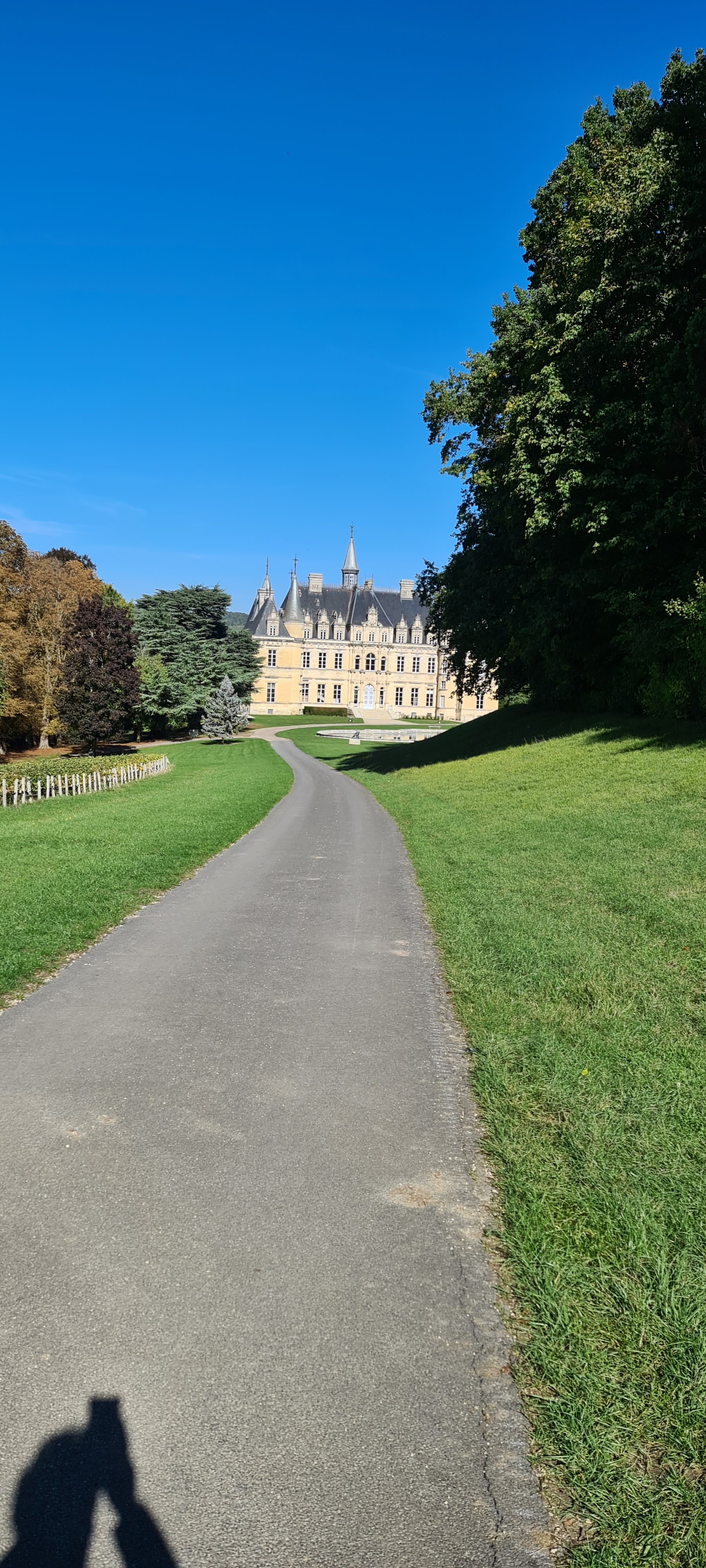 Photo n° 44 de l'avis de V... fait le 04/10/2022 à 16:31