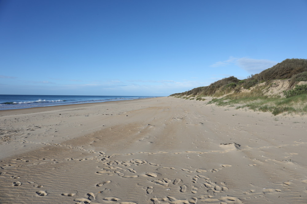 Fotografija Cape Liptrap Beach z svetel pesek površino