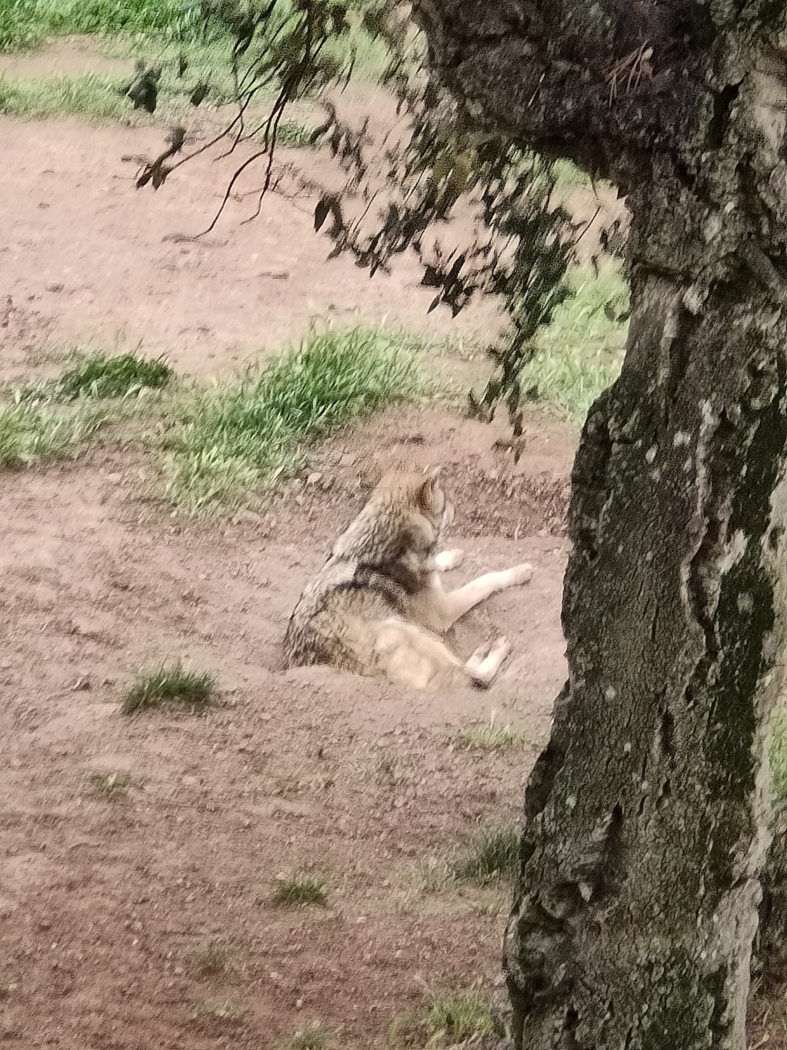Photo n° 1 de l'avis de Christophe.A fait le 13/04/2022 à 18:48