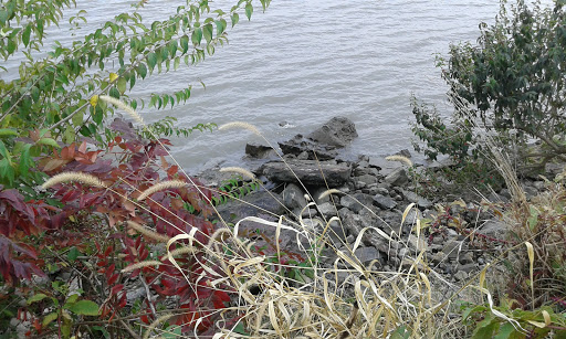 Park «Fox Point State Park», reviews and photos, Hay Road, Wilmington, DE 19809, USA