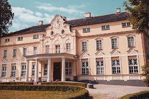 Pałac Umysłu w Witaszycach image