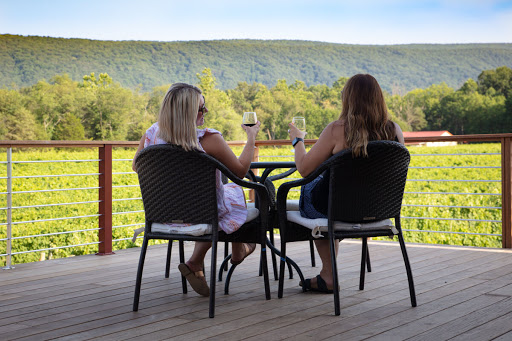 Vineyard «Muse Vineyards», reviews and photos, 16 Serendipity Ln, Woodstock, VA 22664, USA